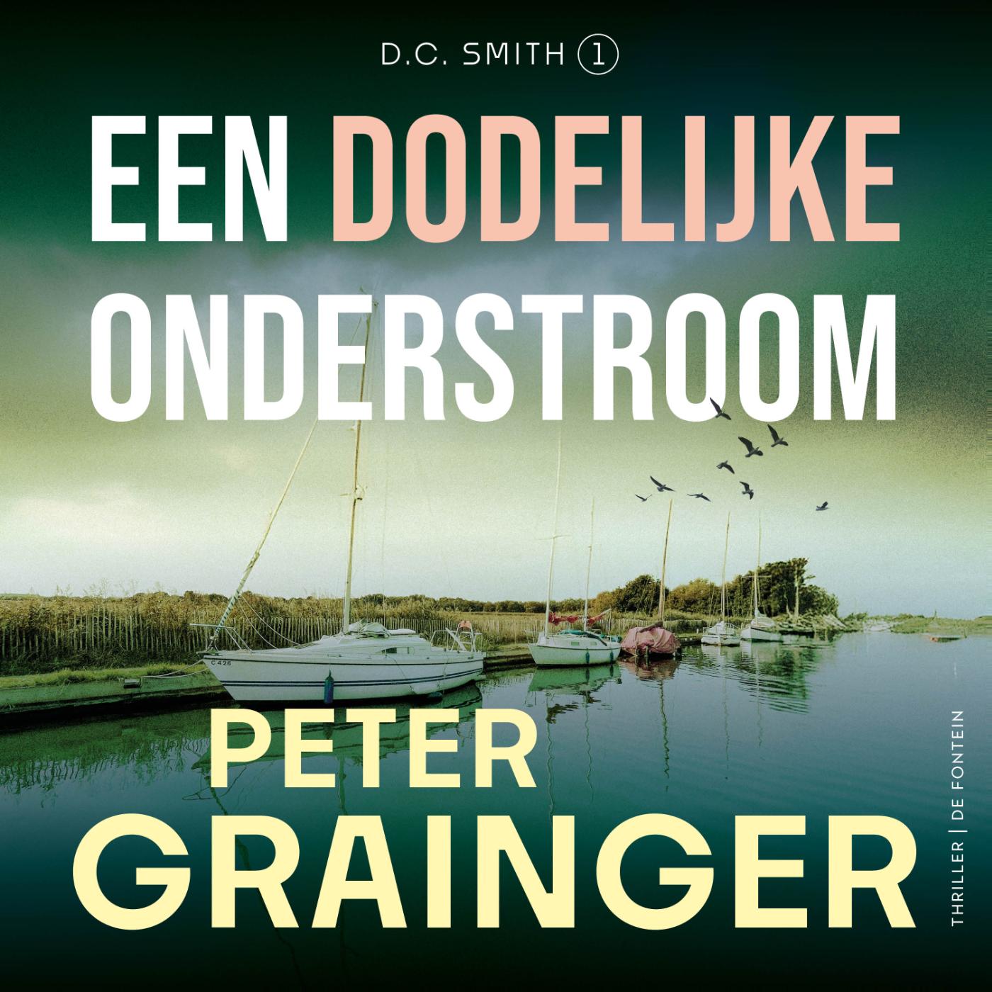 Omslag van Een dodelijke onderstroom