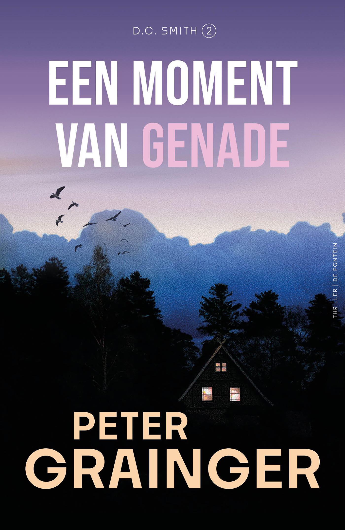 Omslag van Een moment van genade