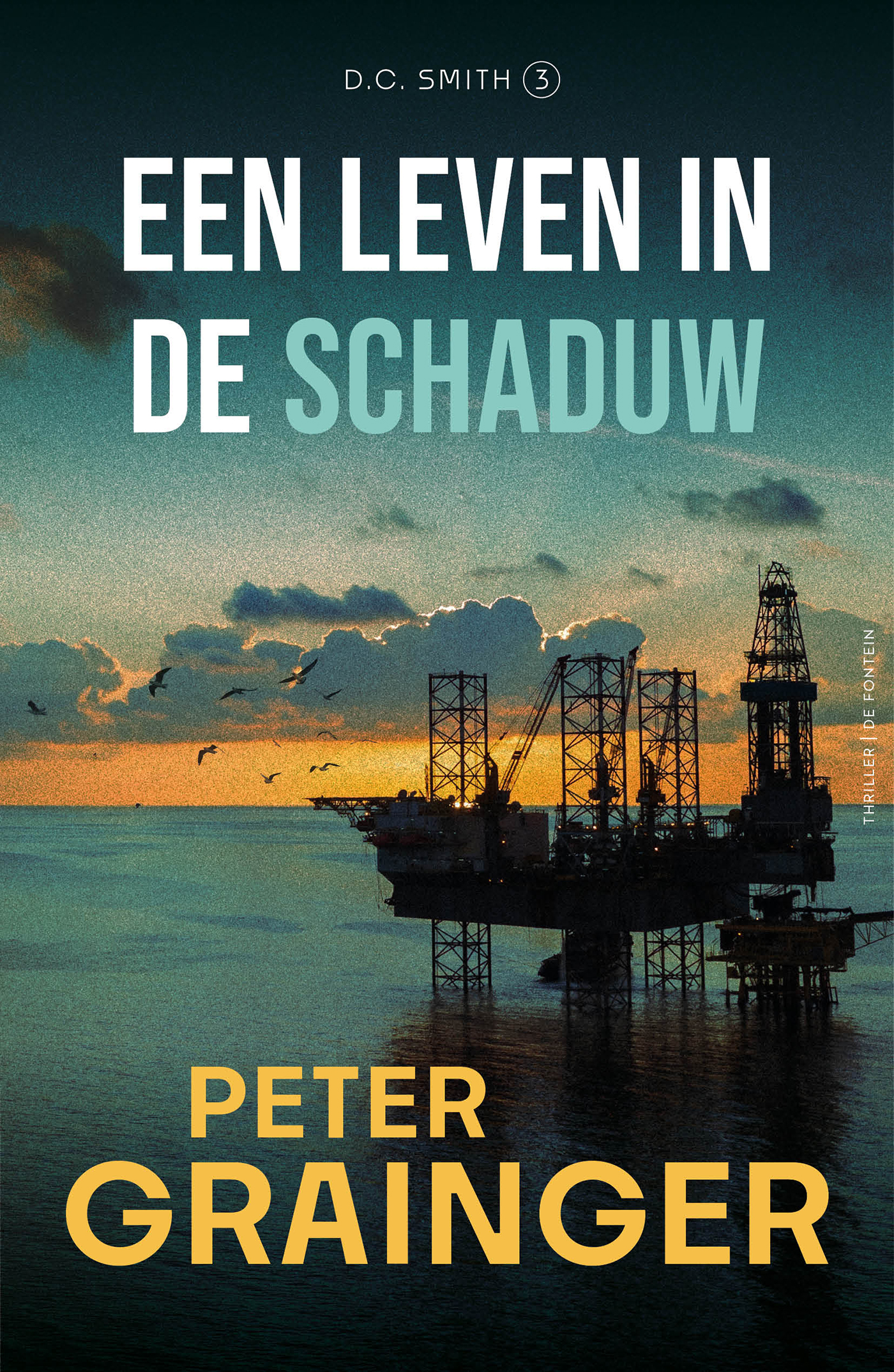 Omslag van Een leven in de schaduw