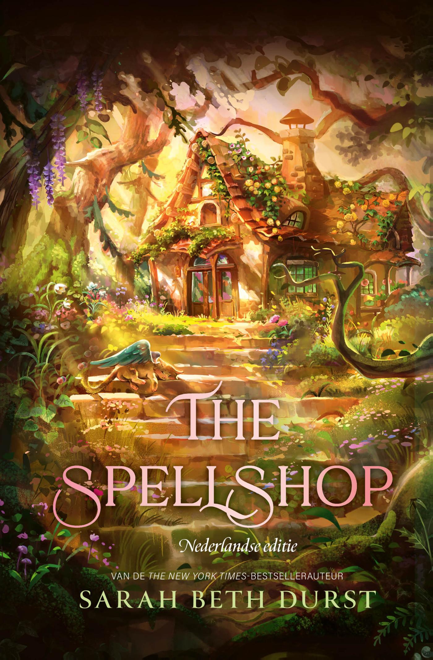 Omslag van The Spellshop