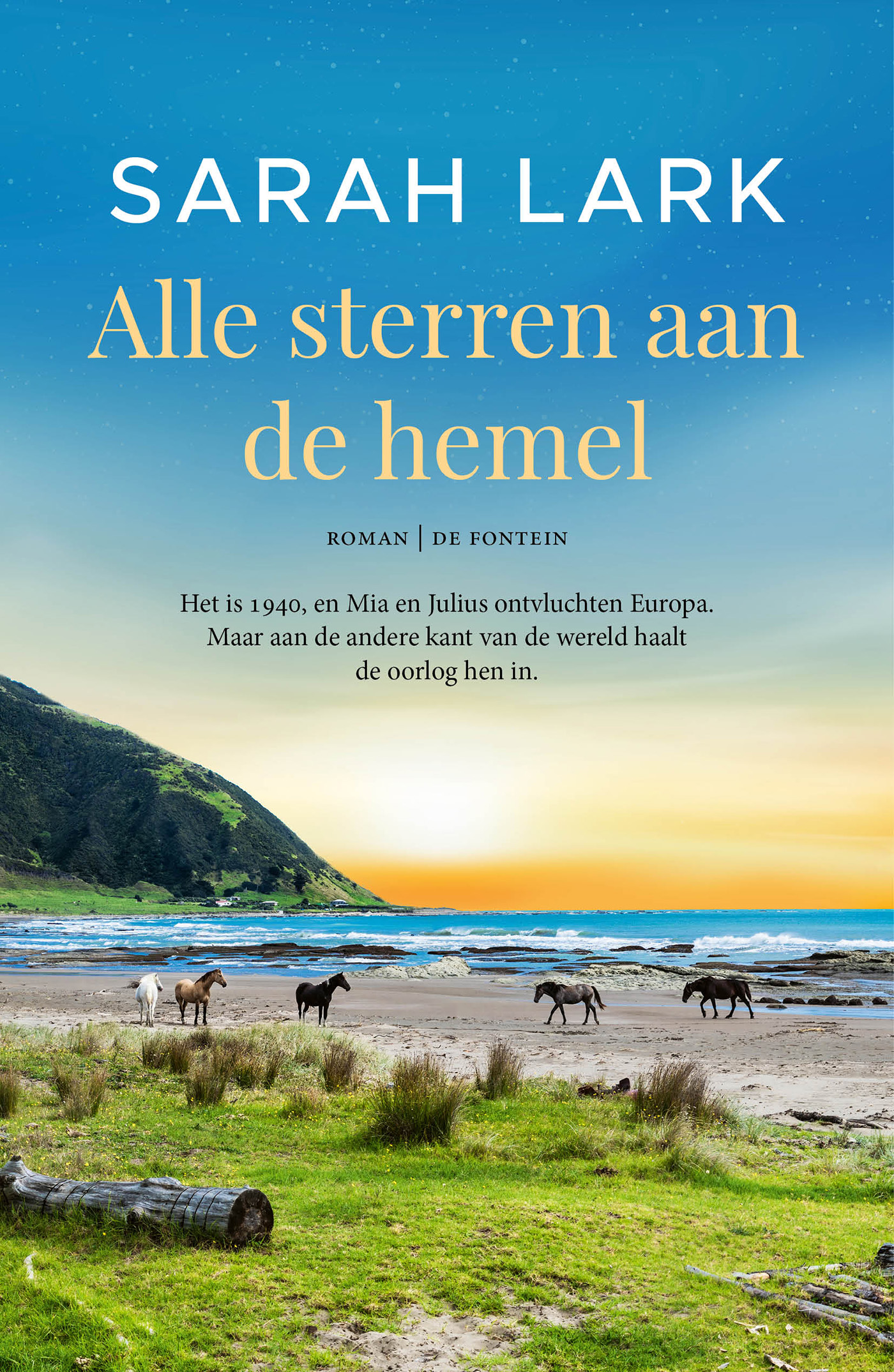 Omslag van Alle sterren aan de hemel