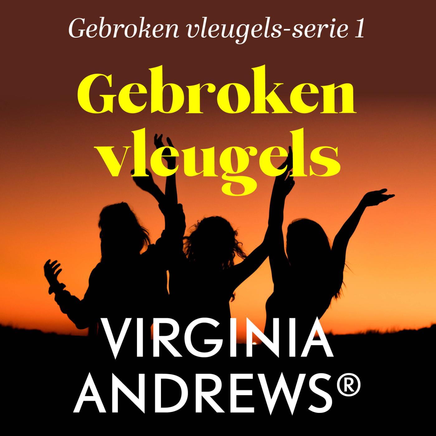 Omslag van Gebroken vleugels