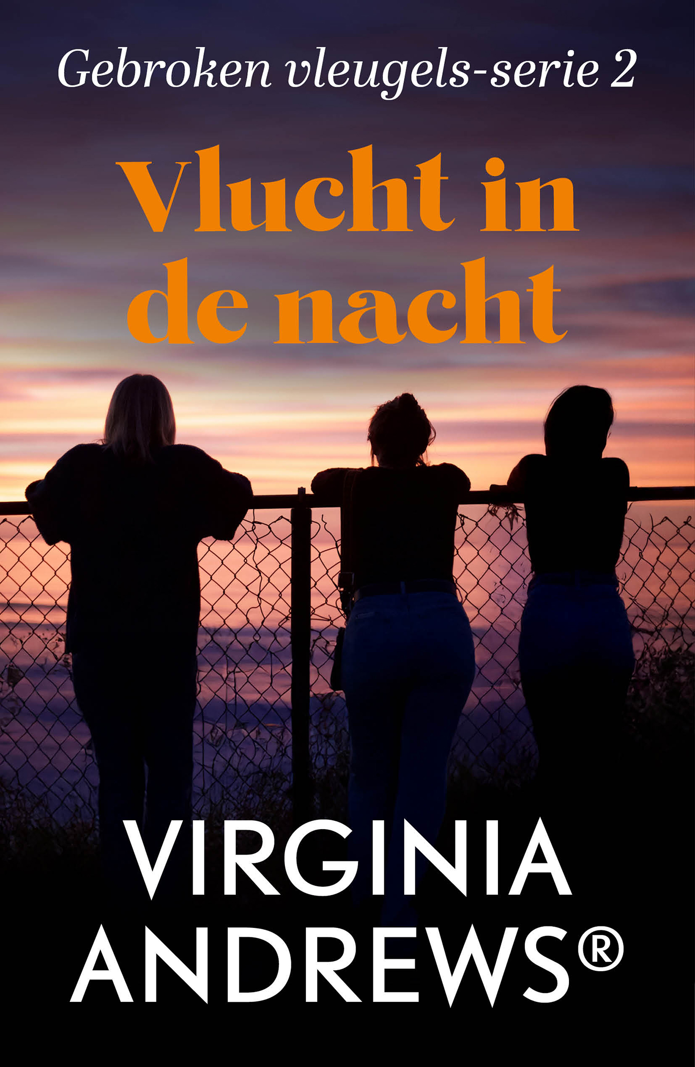 Omslag van Vlucht in de nacht