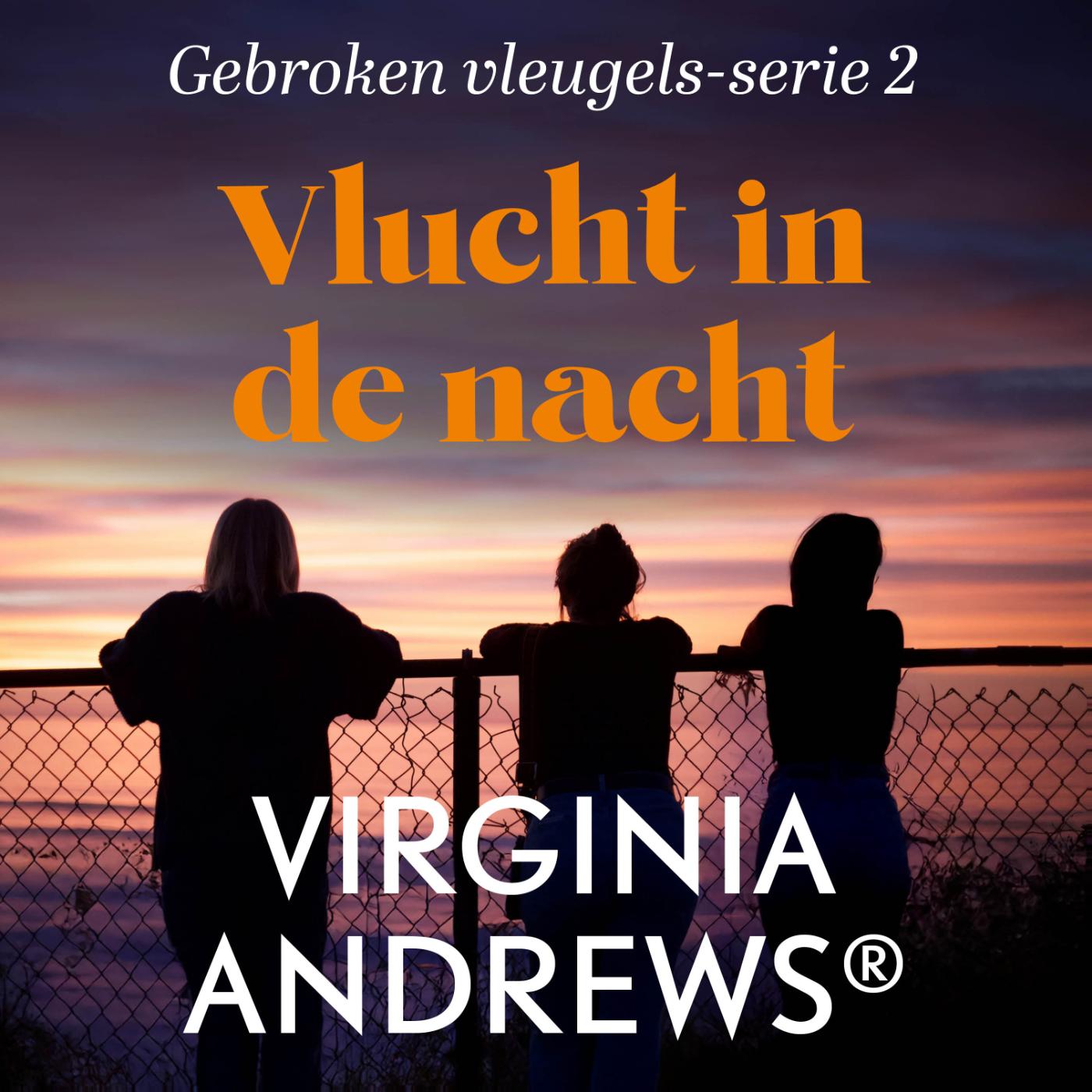 Omslag van Vlucht in de nacht