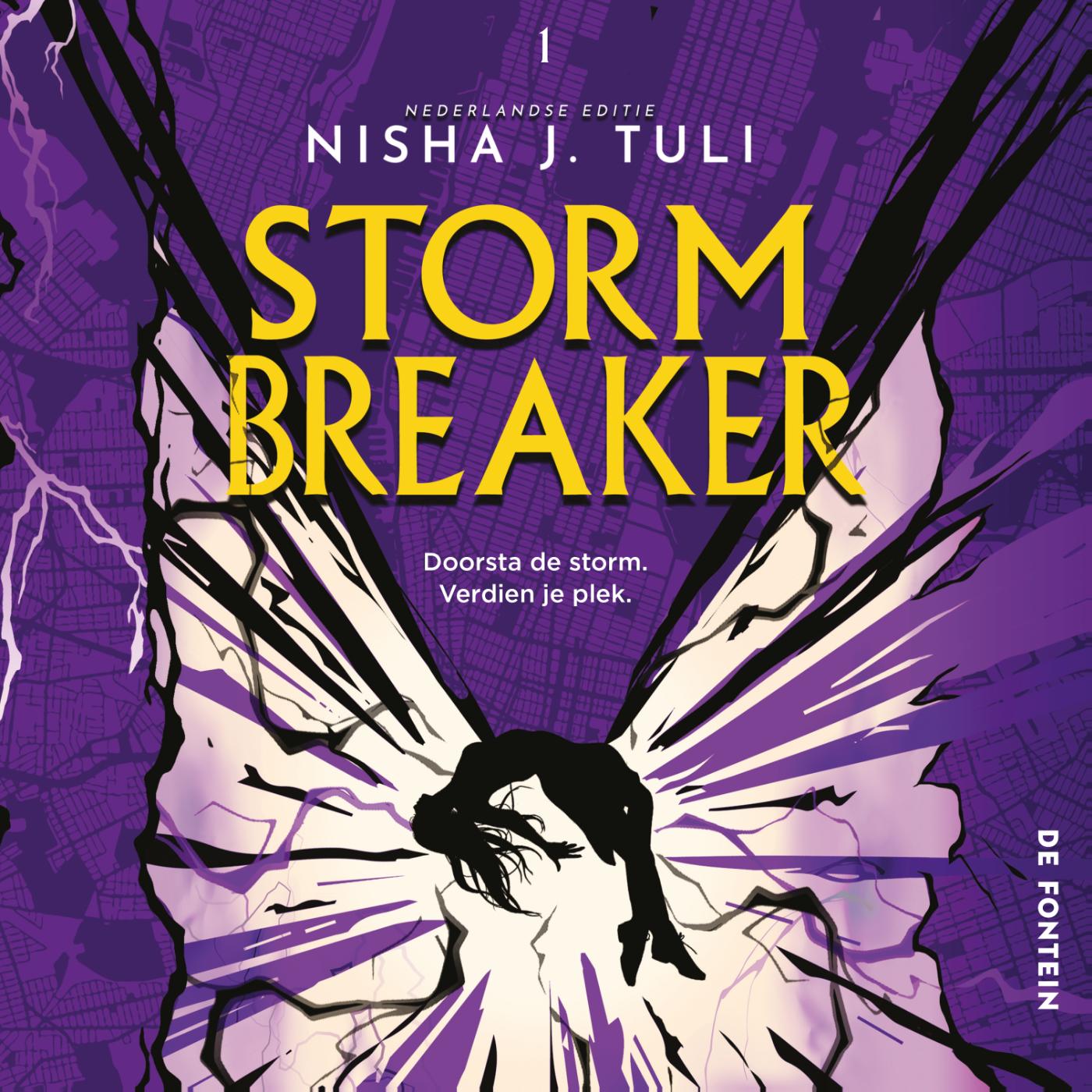 Omslag van Storm Breaker