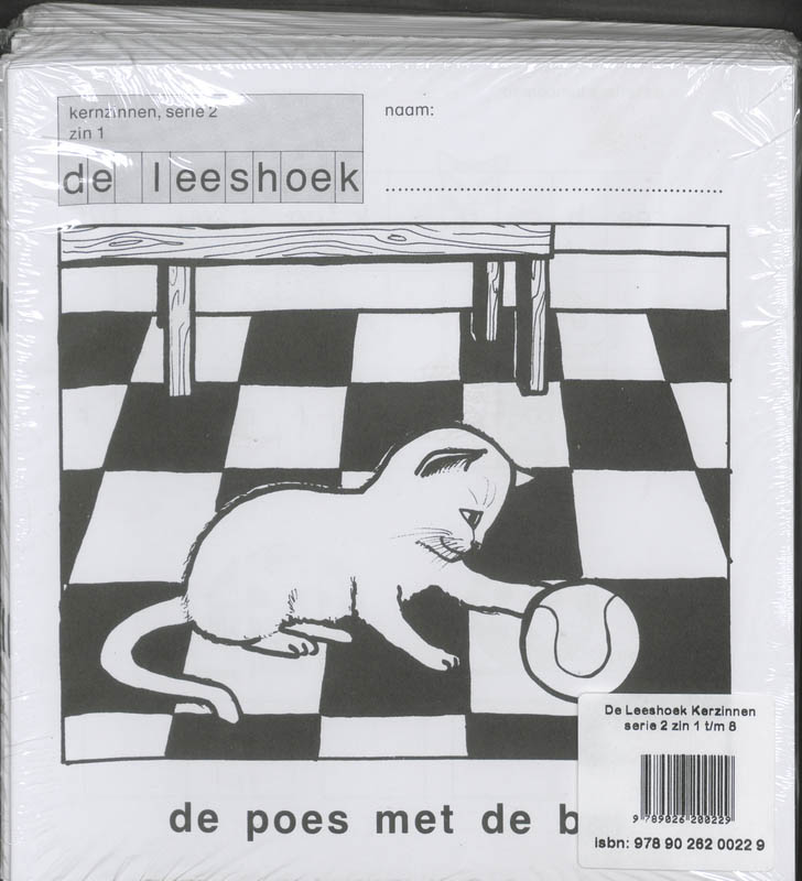 Omslag van Kernzinnen