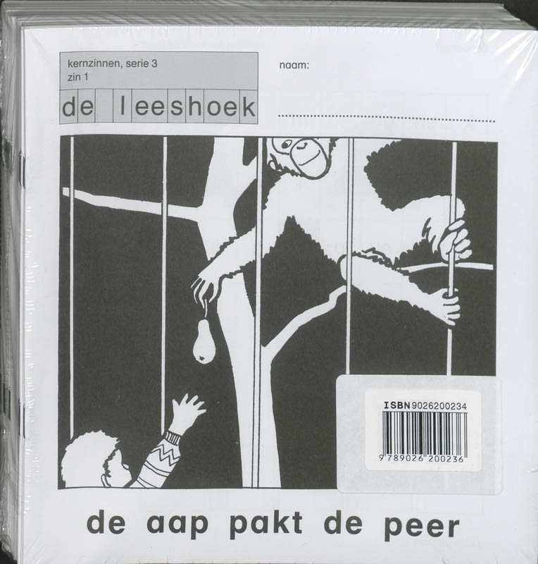 Omslag van Kernzinnen