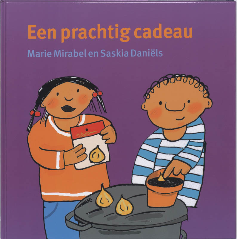 Omslag van Een prachtig cadeau