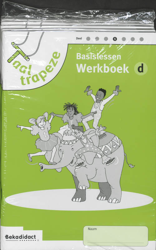 Omslag van Werkboek basislessen D