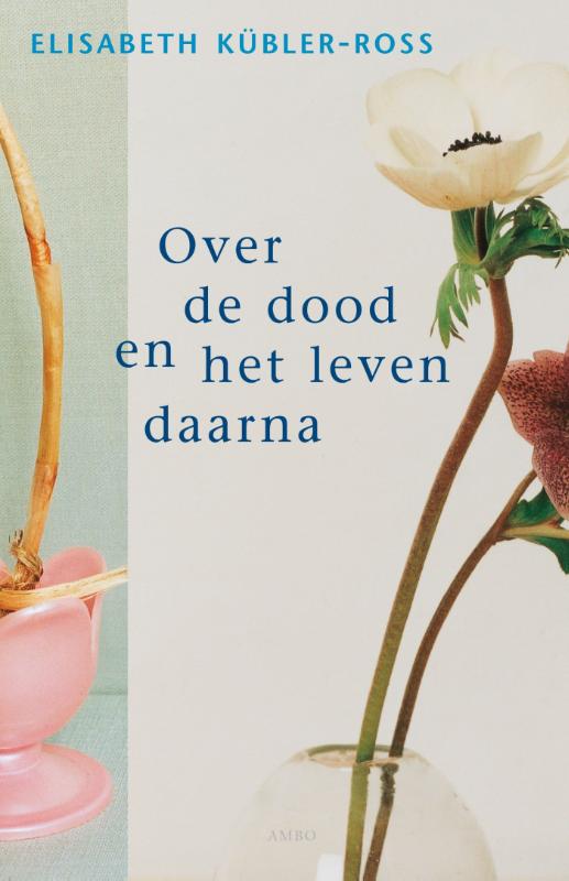 Omslag van Over de dood en het leven daarna