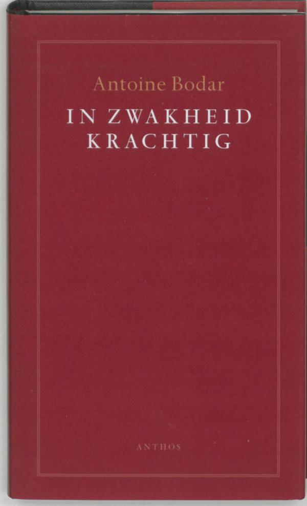 Omslag van In zwakheid krachtig