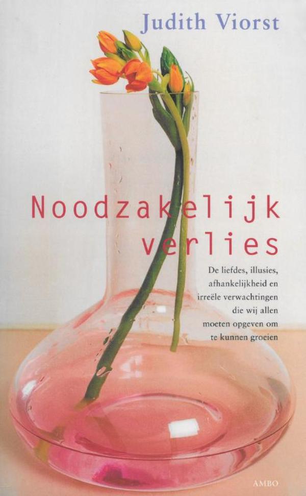 Omslag van Noodzakelijk verlies