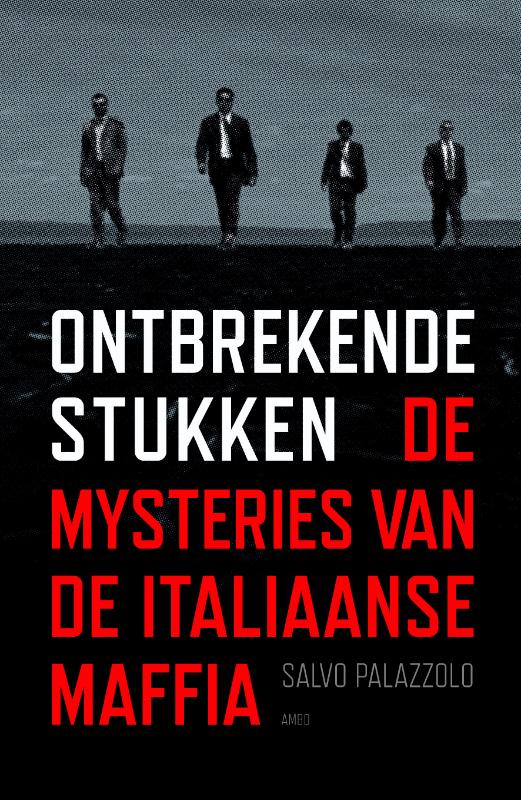 Omslag van Ontbrekende stukken