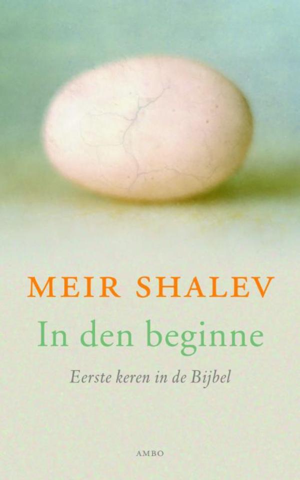 Omslag van In den beginne