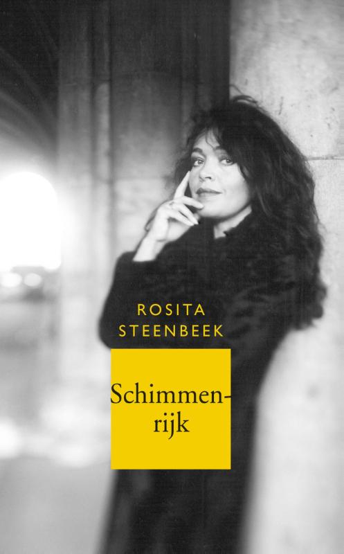 Omslag van Schimmenrijk