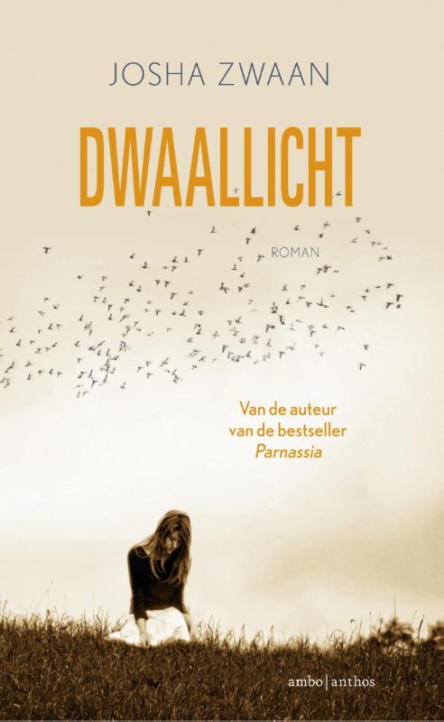 Omslag van Dwaallicht
