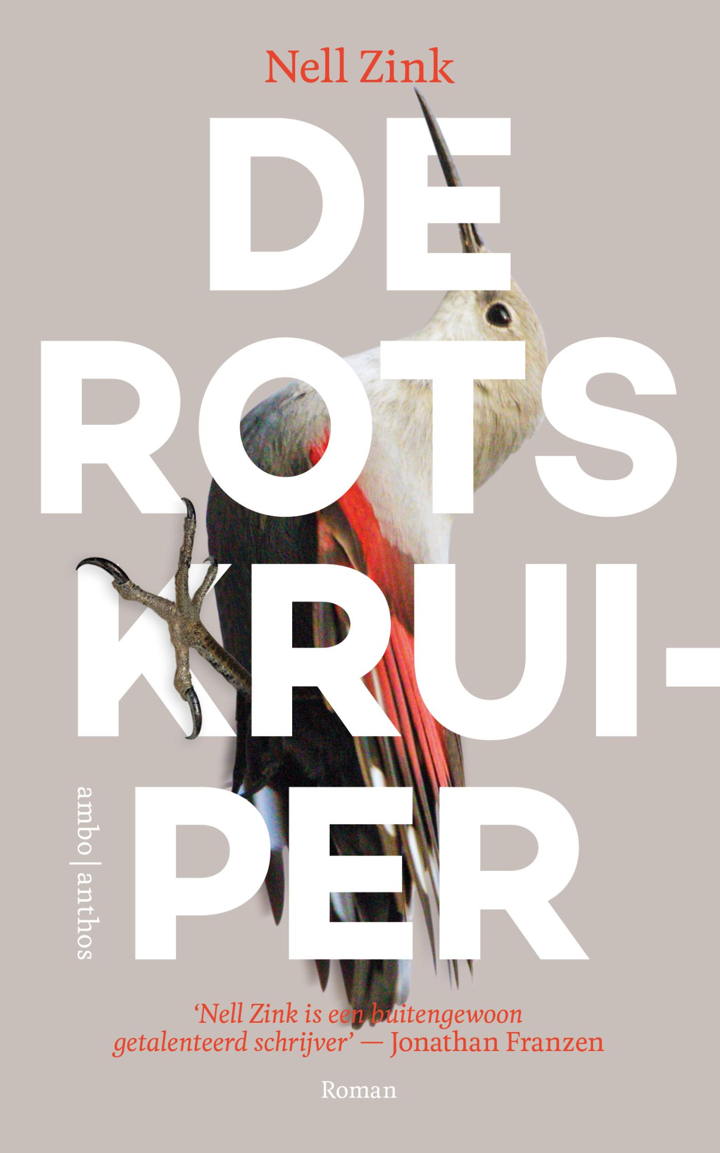 Omslag van De rotskruiper