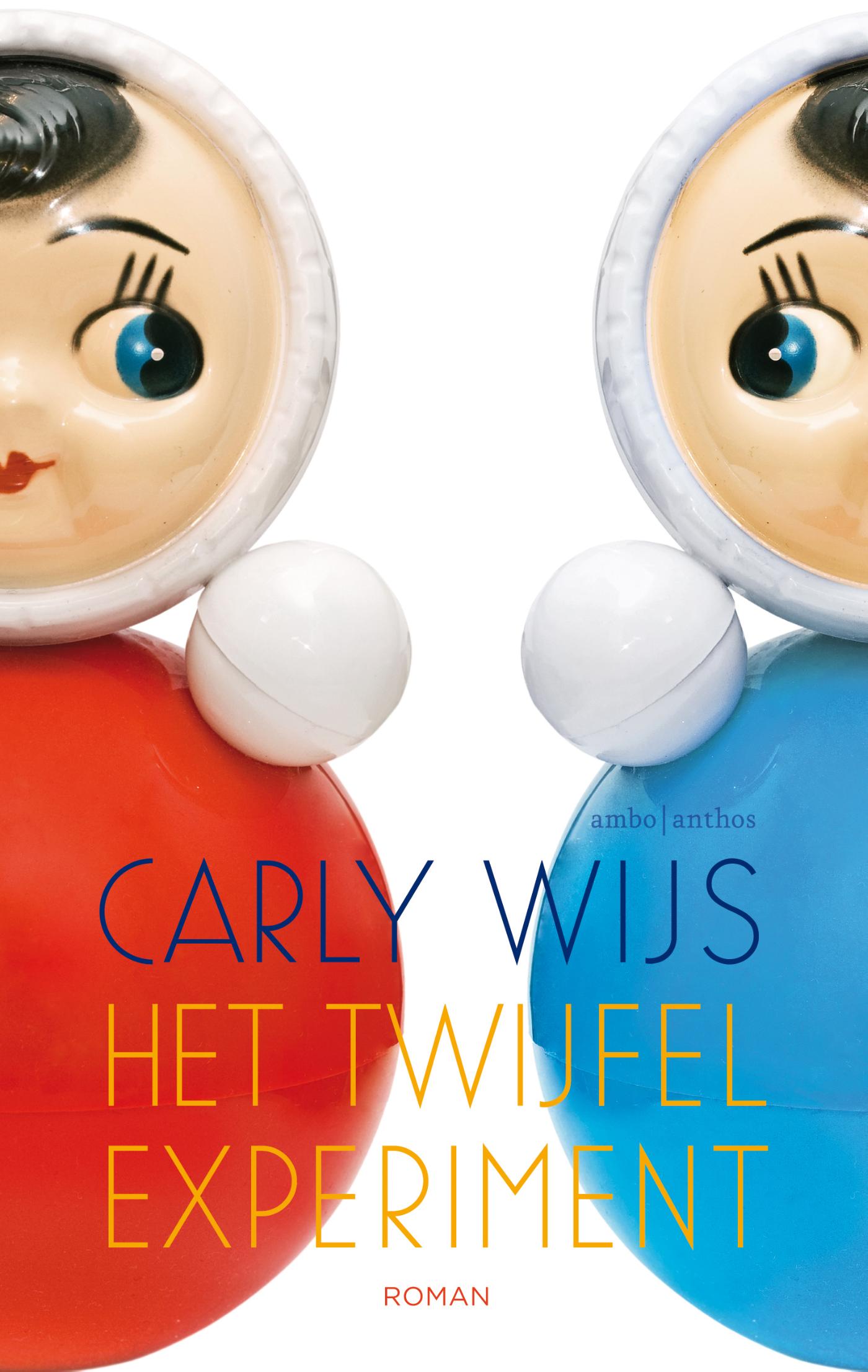 Omslag van Het twijfelexperiment