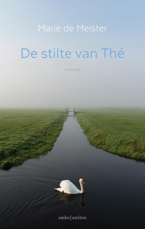 Omslag van De stilte van Thé