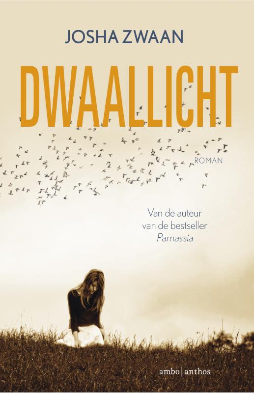 Omslag van Dwaallicht