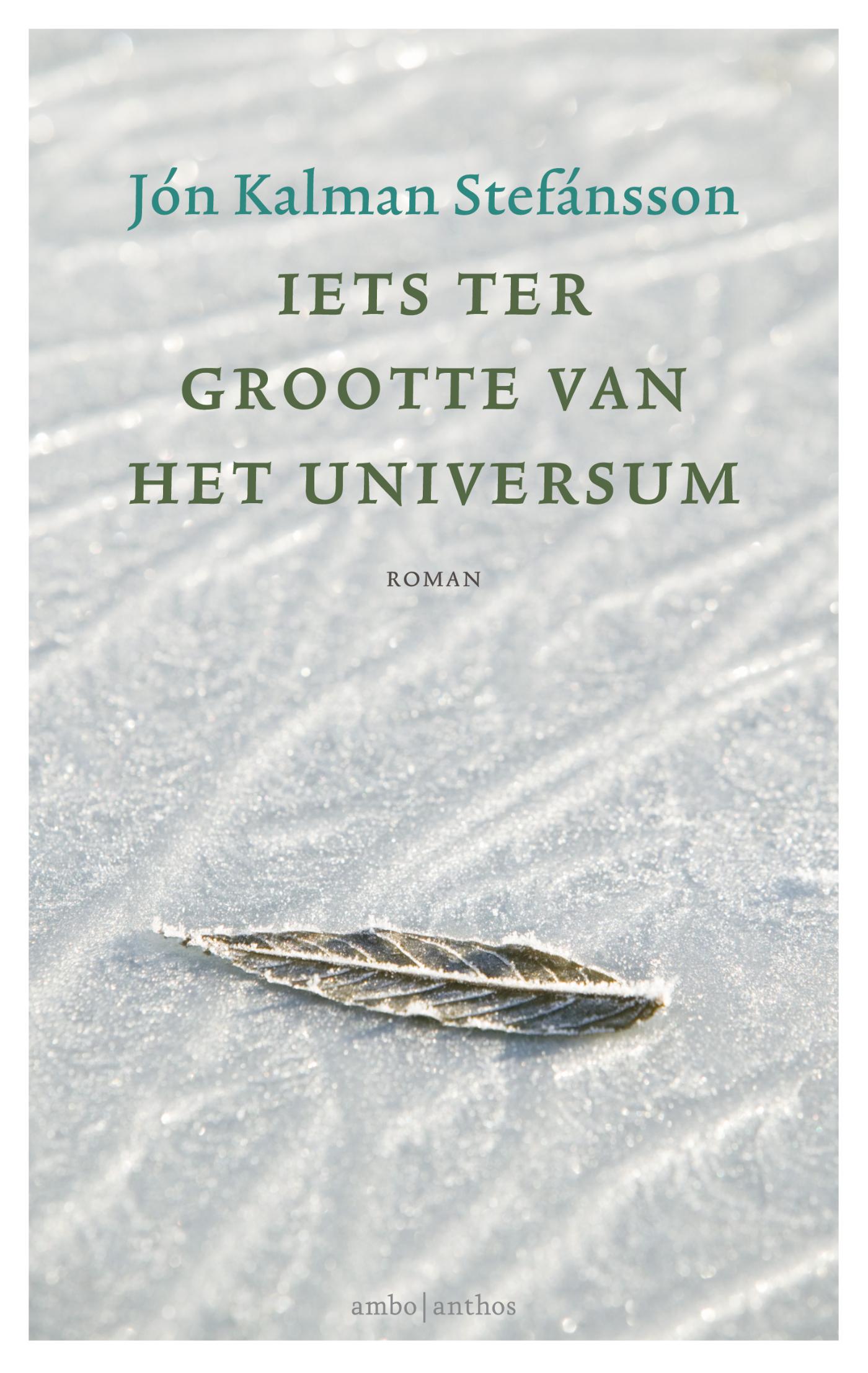 Omslag van Iets ter grootte van het universum
