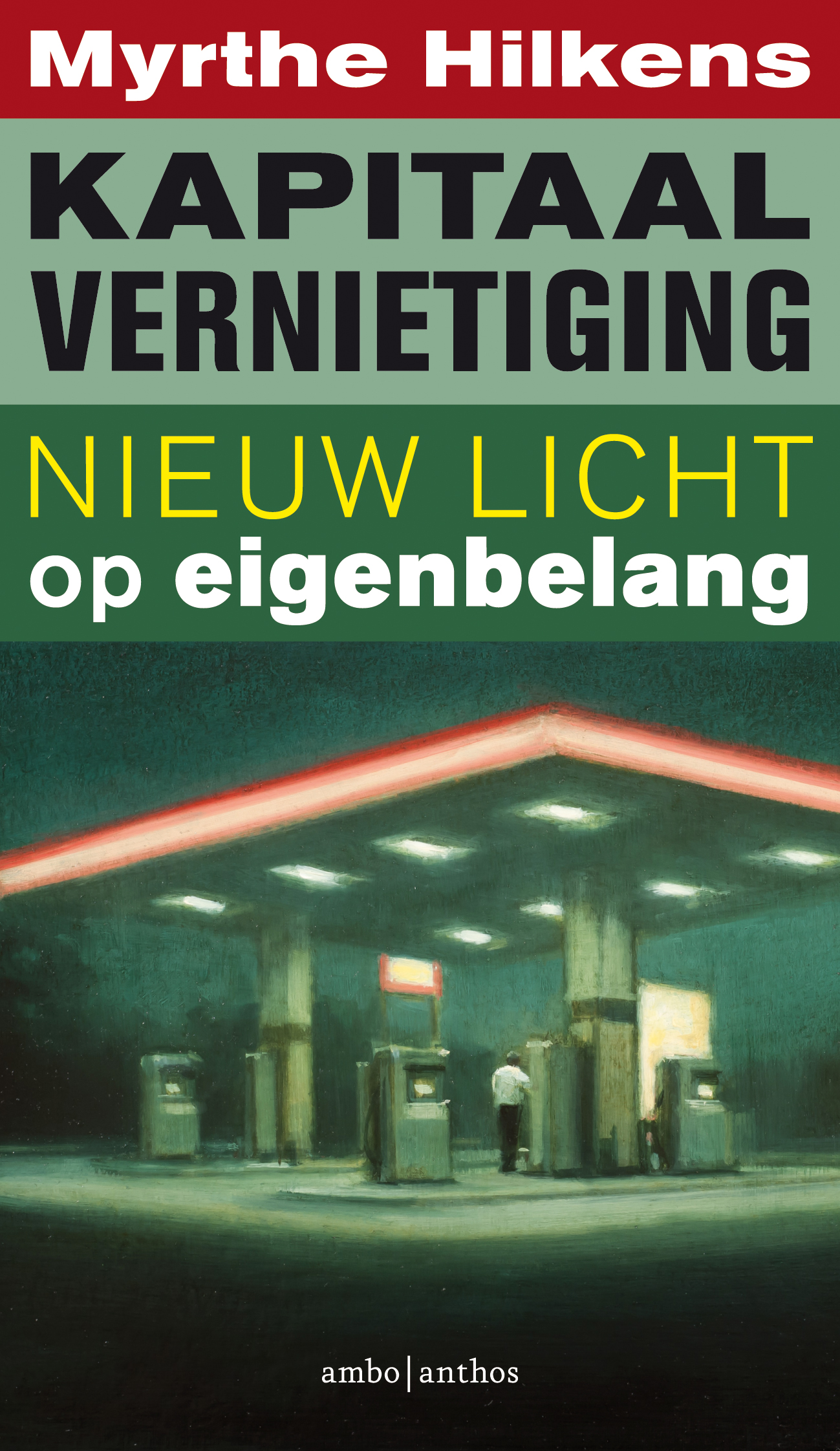 Omslag van Kapitaalvernietiging