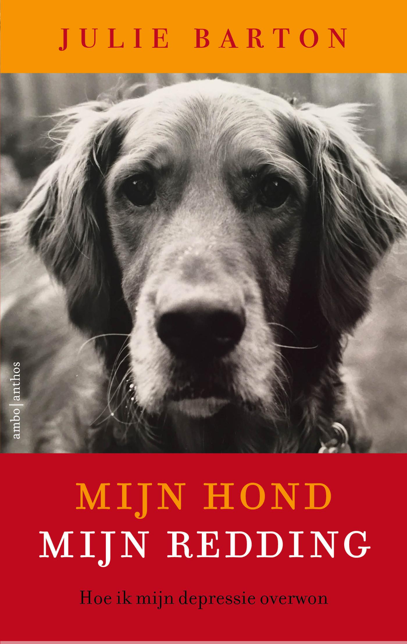 Omslag van Mijn hond mijn redding