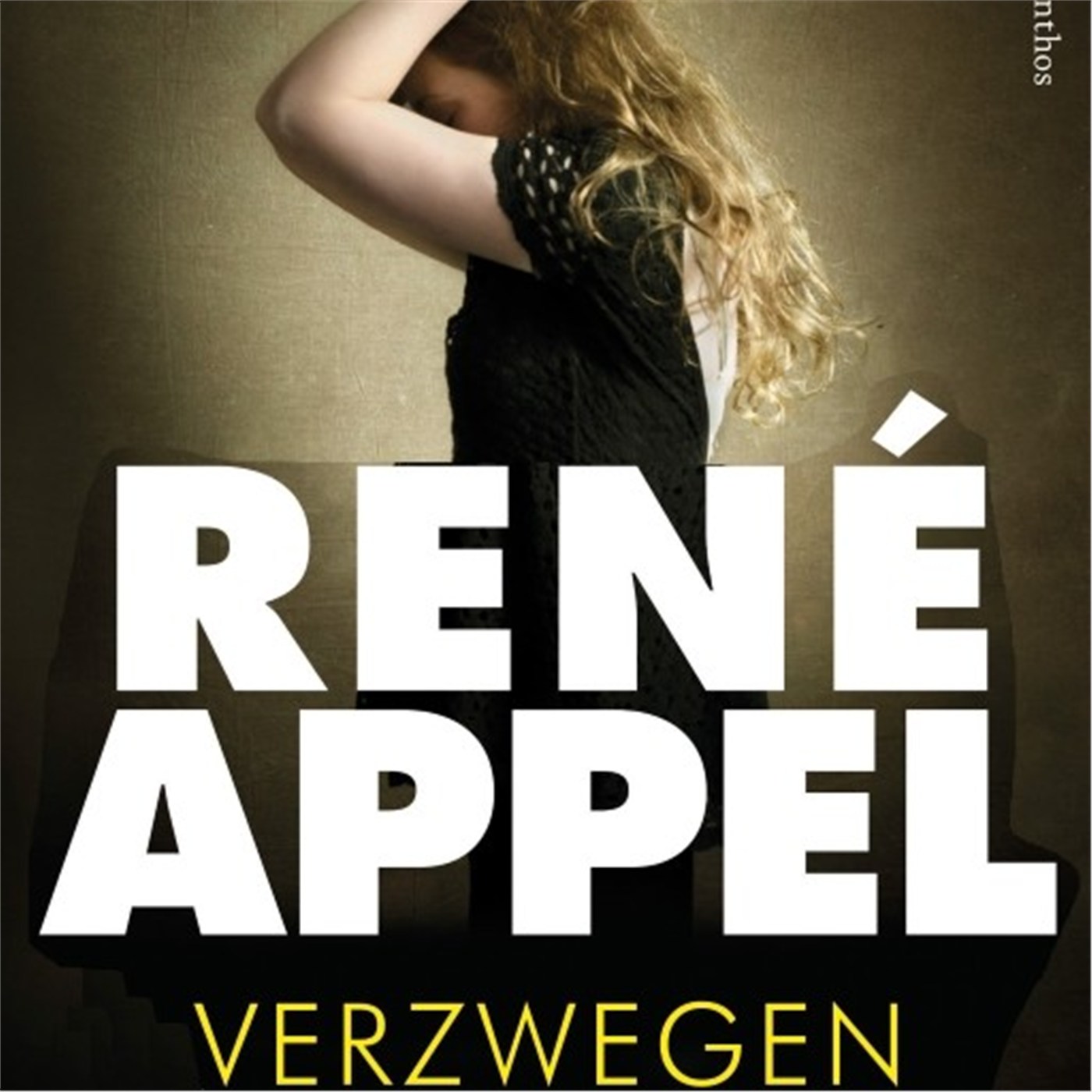 Omslag van Verzwegen