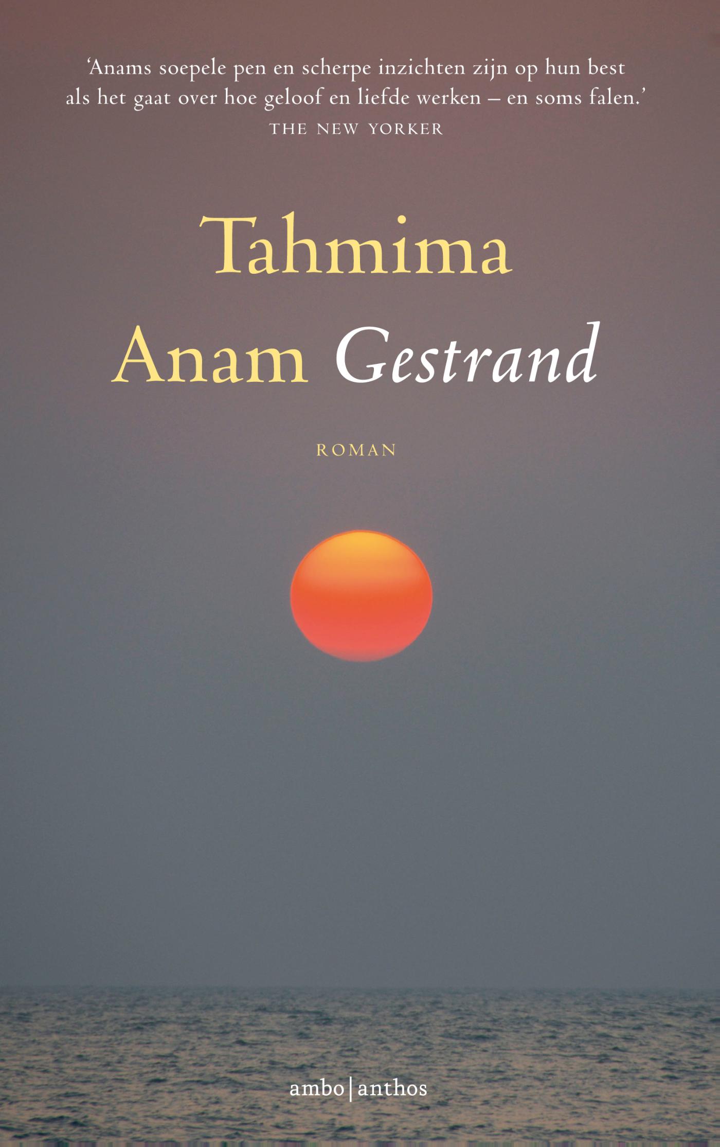 Omslag van Gestrand
