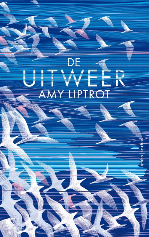 Omslag van De uitweer