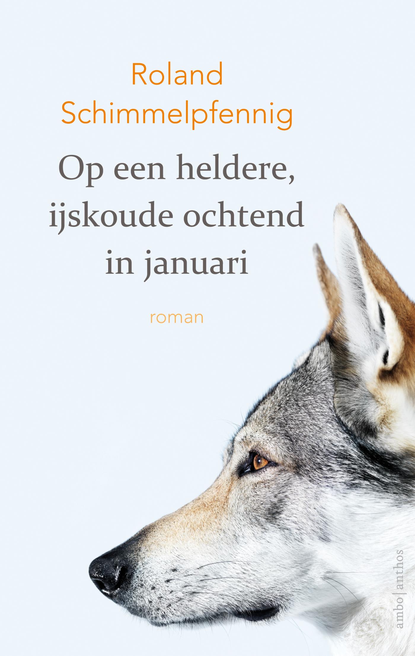 Omslag van Op een heldere, ijskoude ochtend in januari