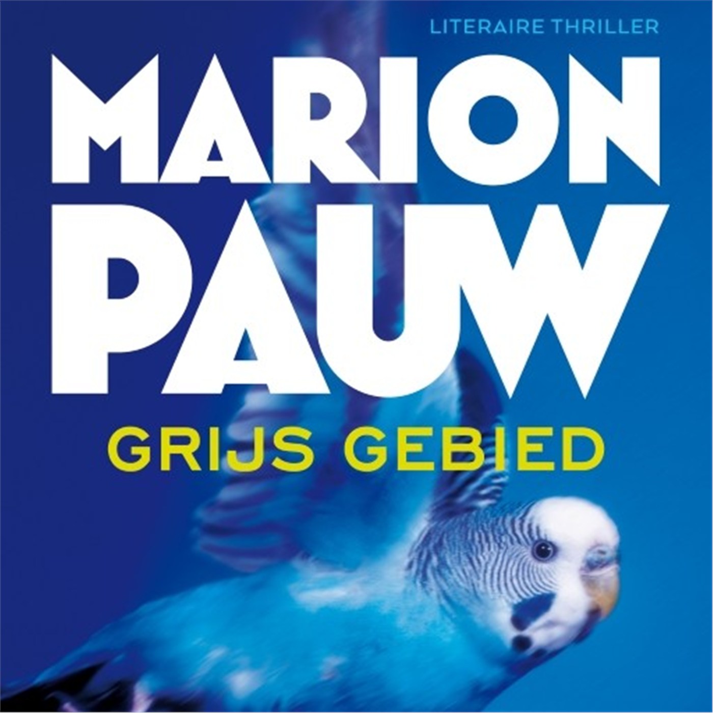 Omslag van Grijs gebied