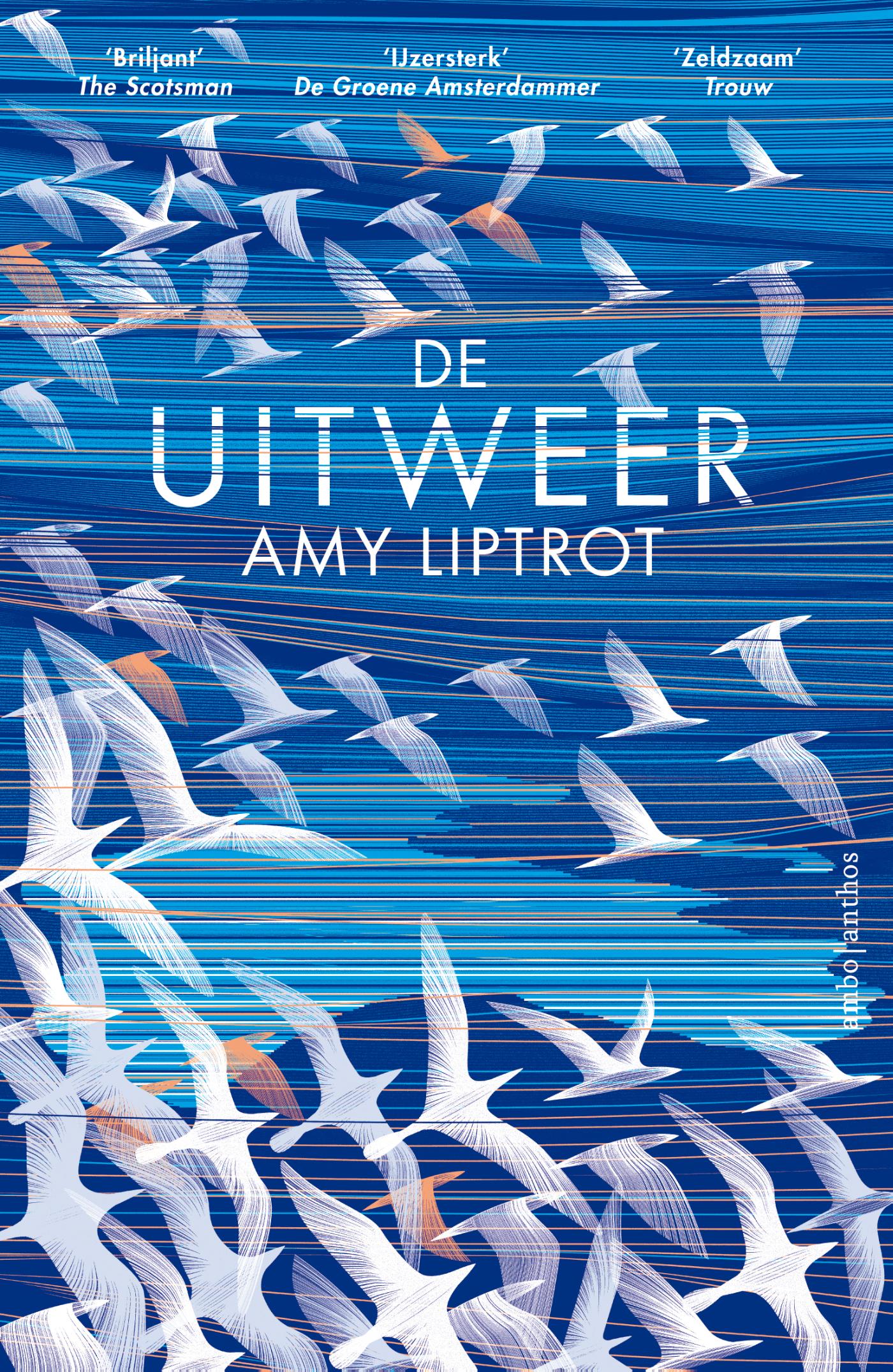 Omslag van De uitweer