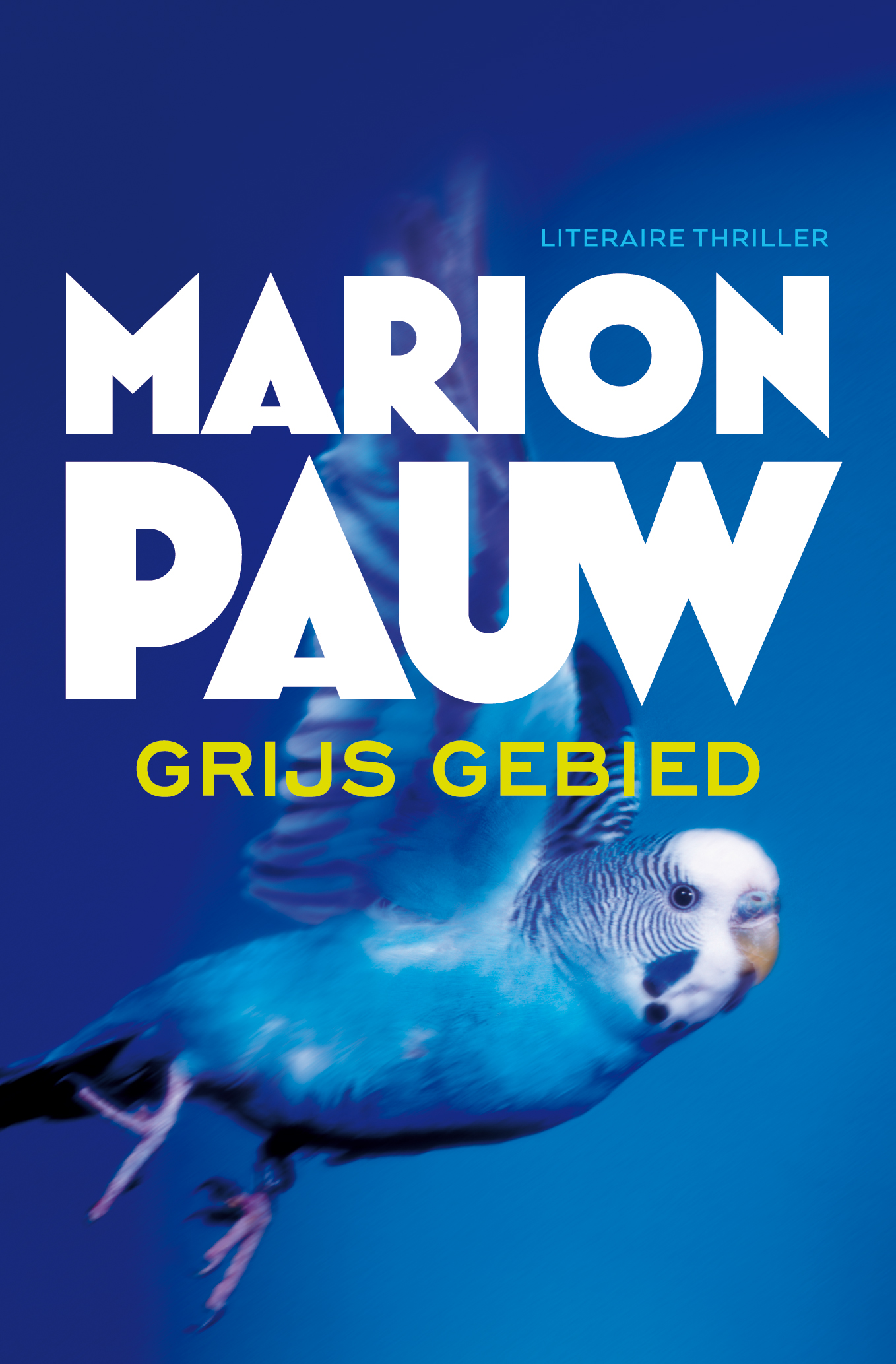 Omslag van Grijs gebied