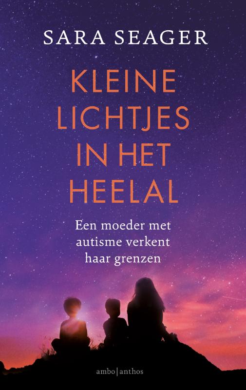 Omslag van Kleine lichtjes in het heelal