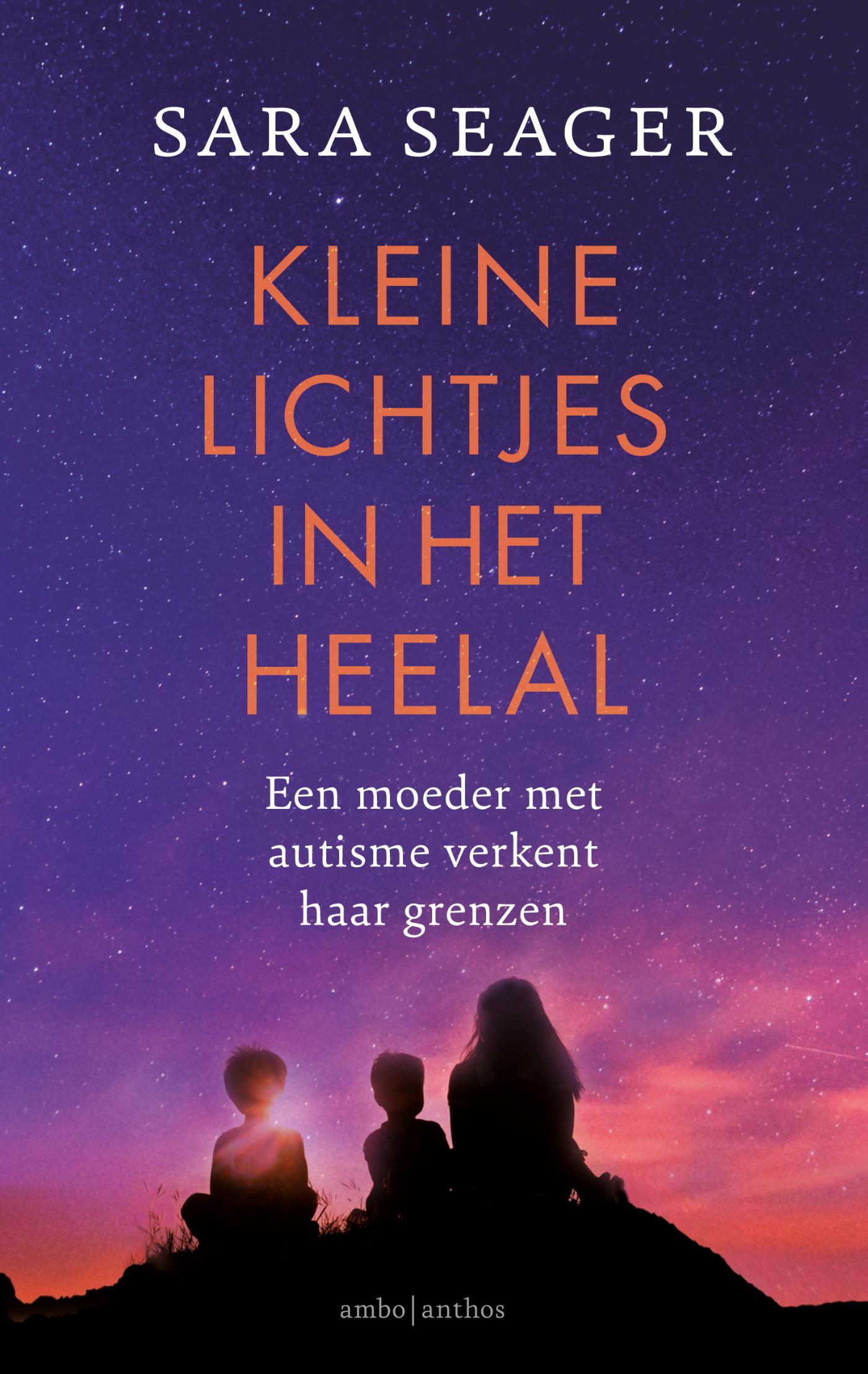 Omslag van Kleine lichtjes in het heelal
