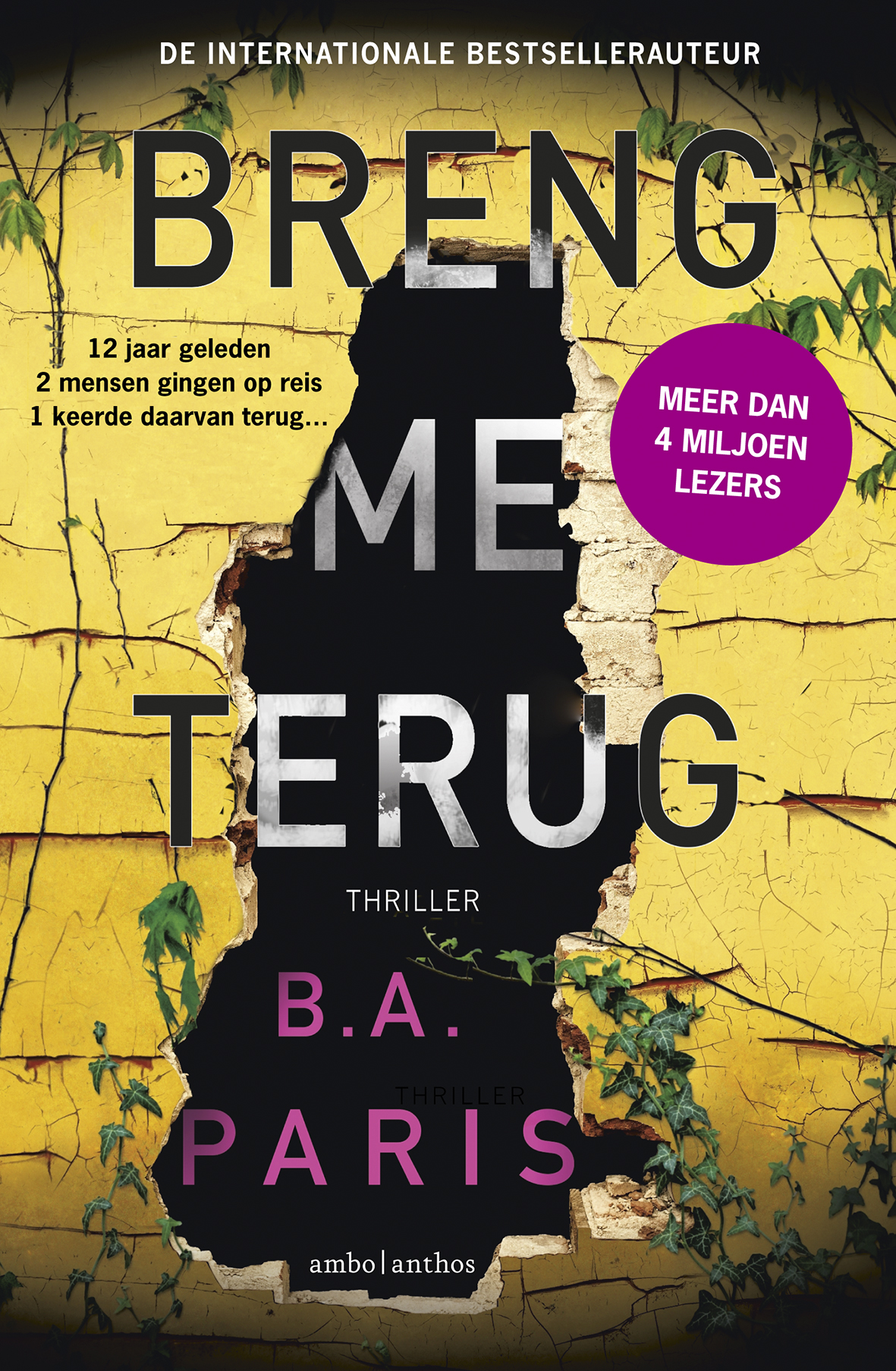 Omslag van Breng me terug