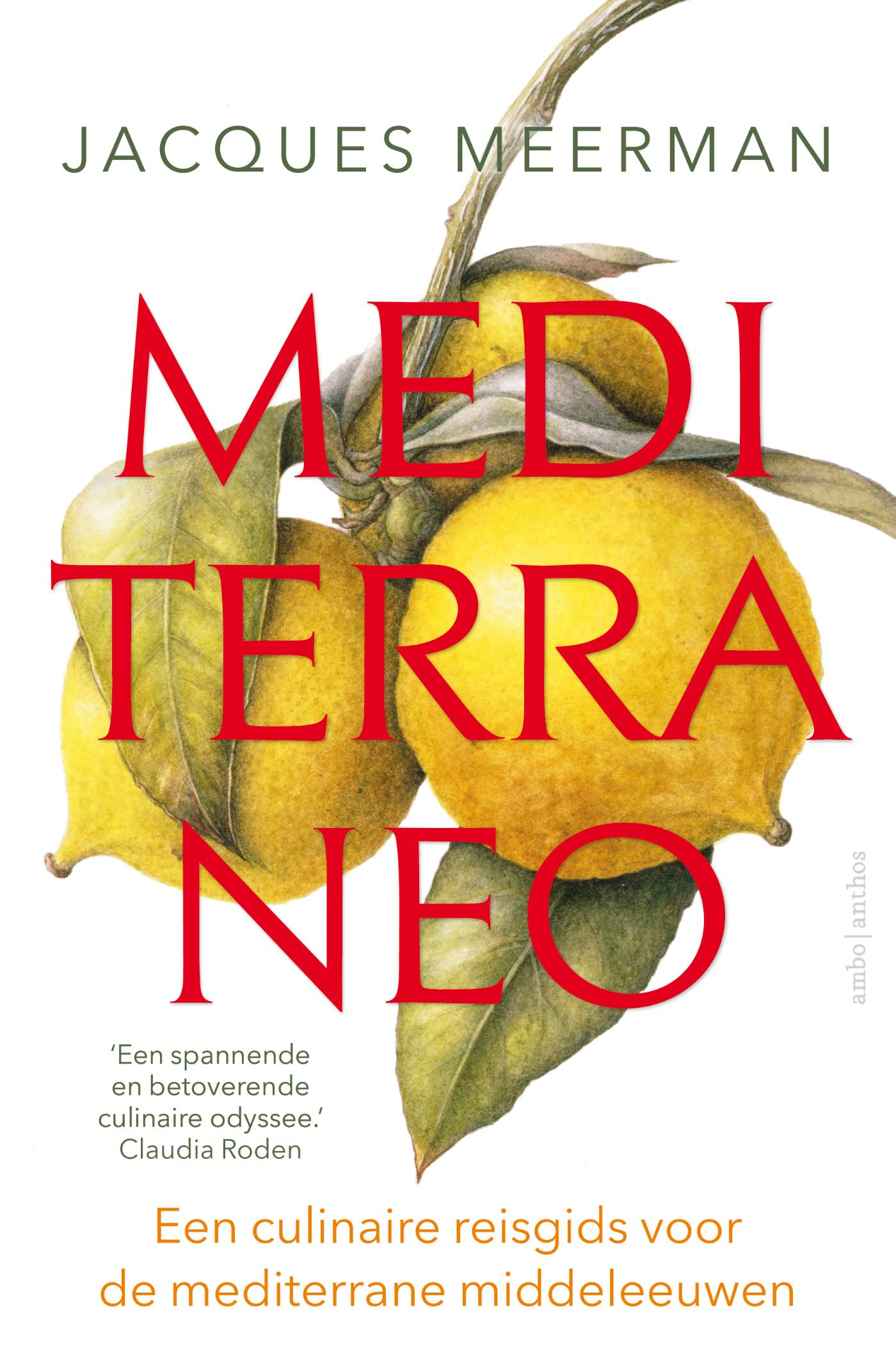 Omslag van Mediterraneo
