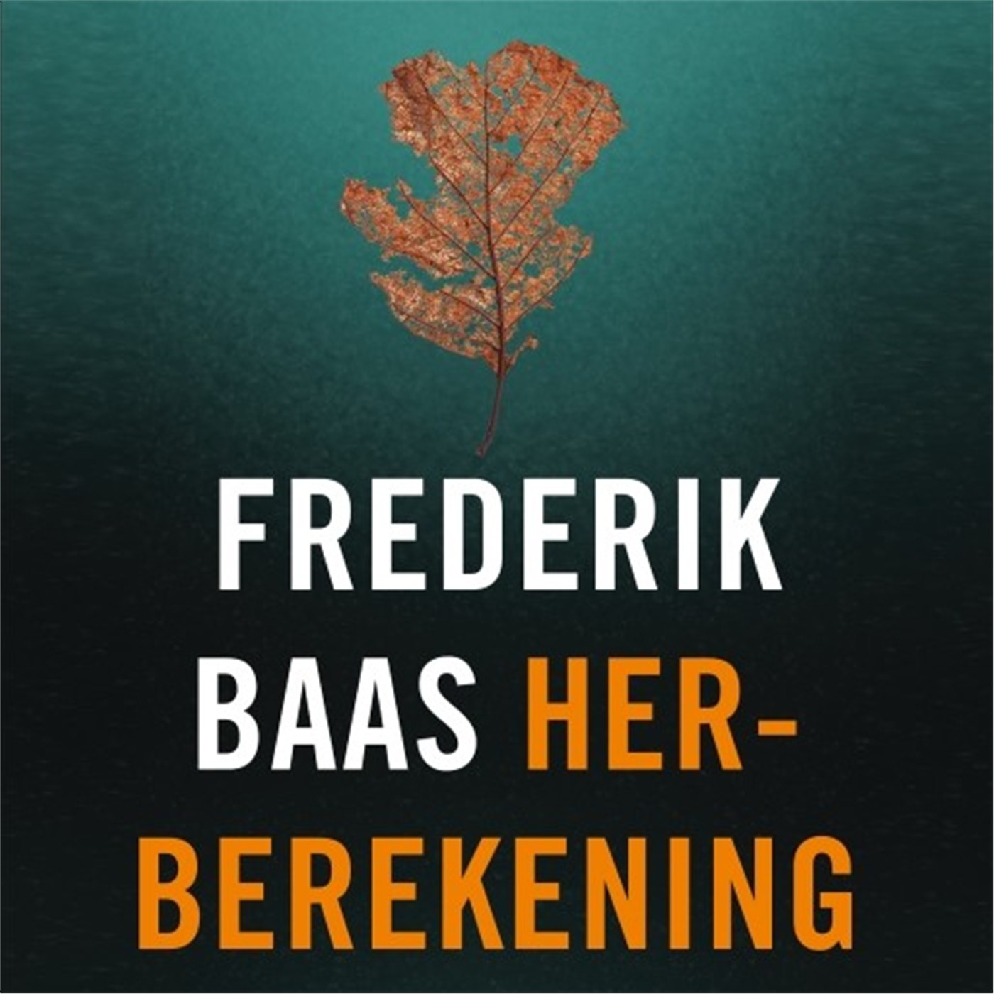 Omslag van Herberekening
