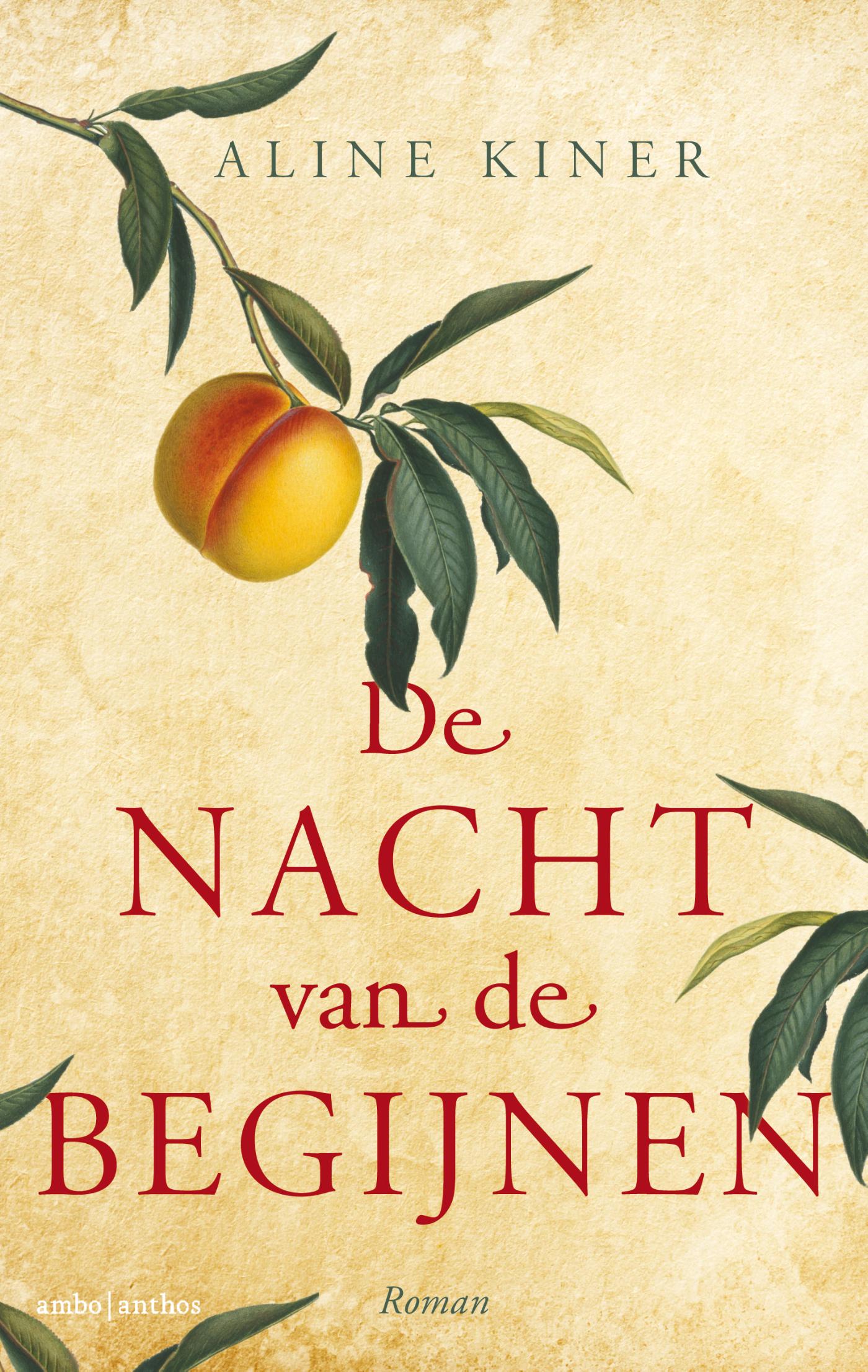 Omslag van De nacht van de begijnen