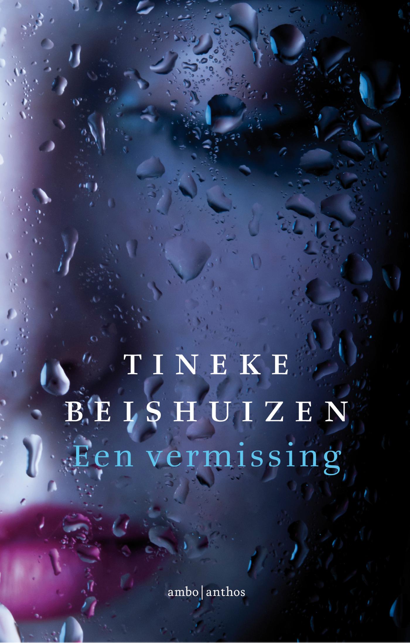 Omslag van Een vermissing