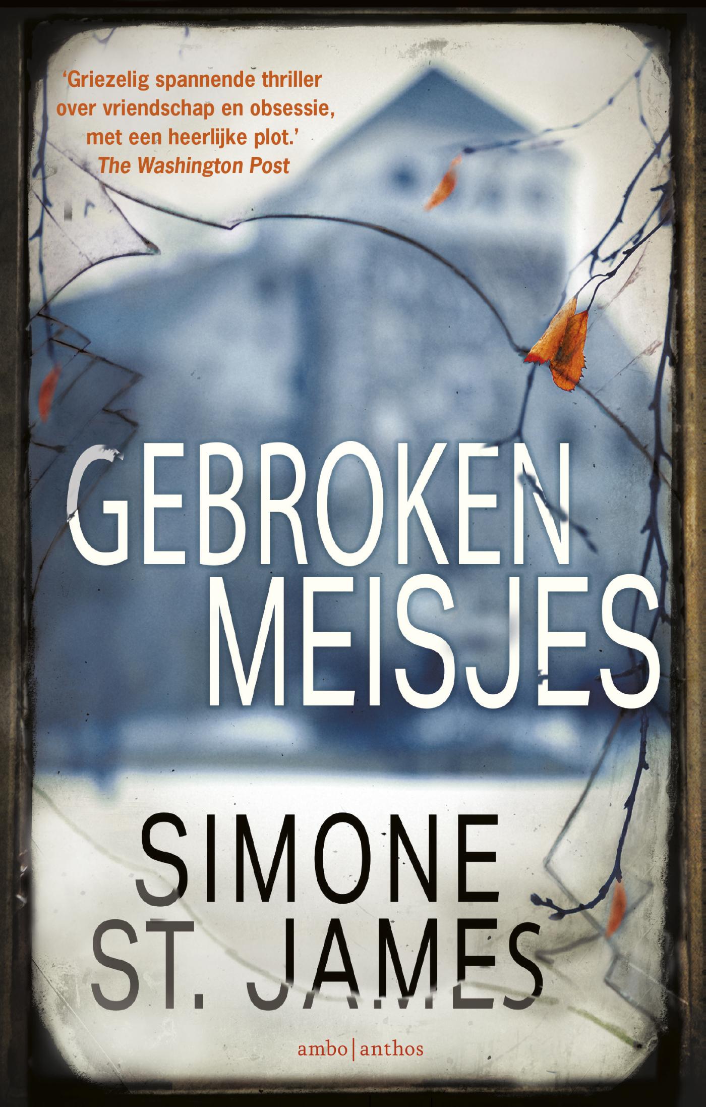 Omslag van Gebroken meisjes