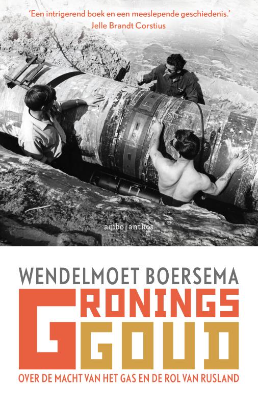Omslag van Gronings goud