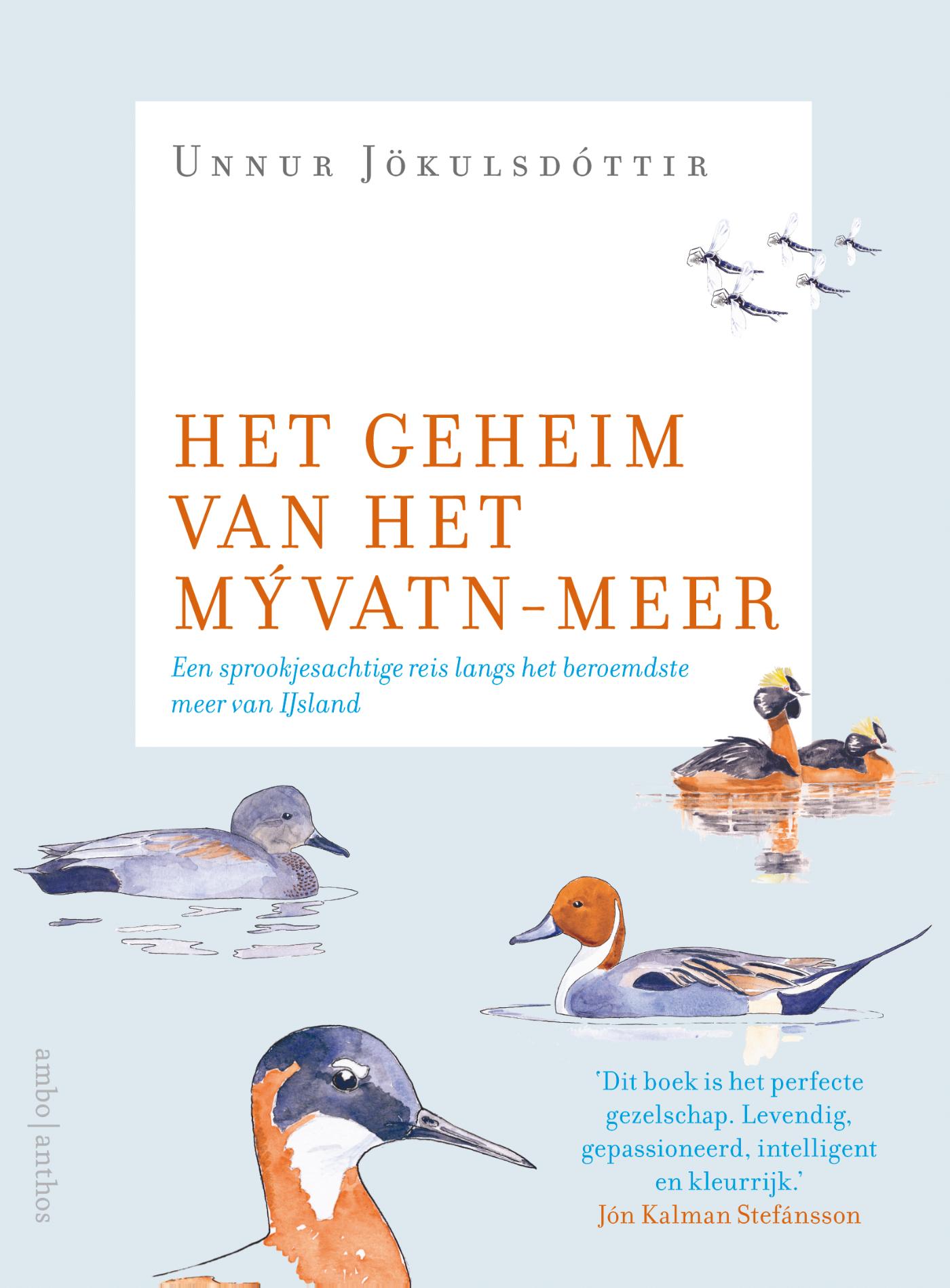 Omslag van Het geheim van het Mývatn-meer
