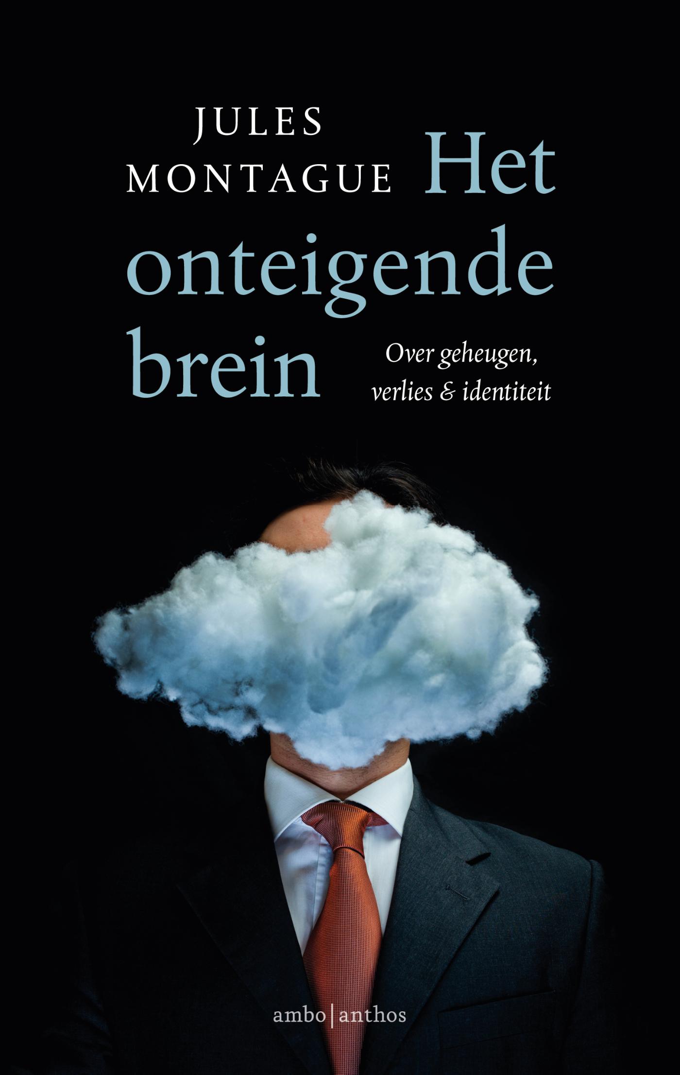 Omslag van Het onteigende brein