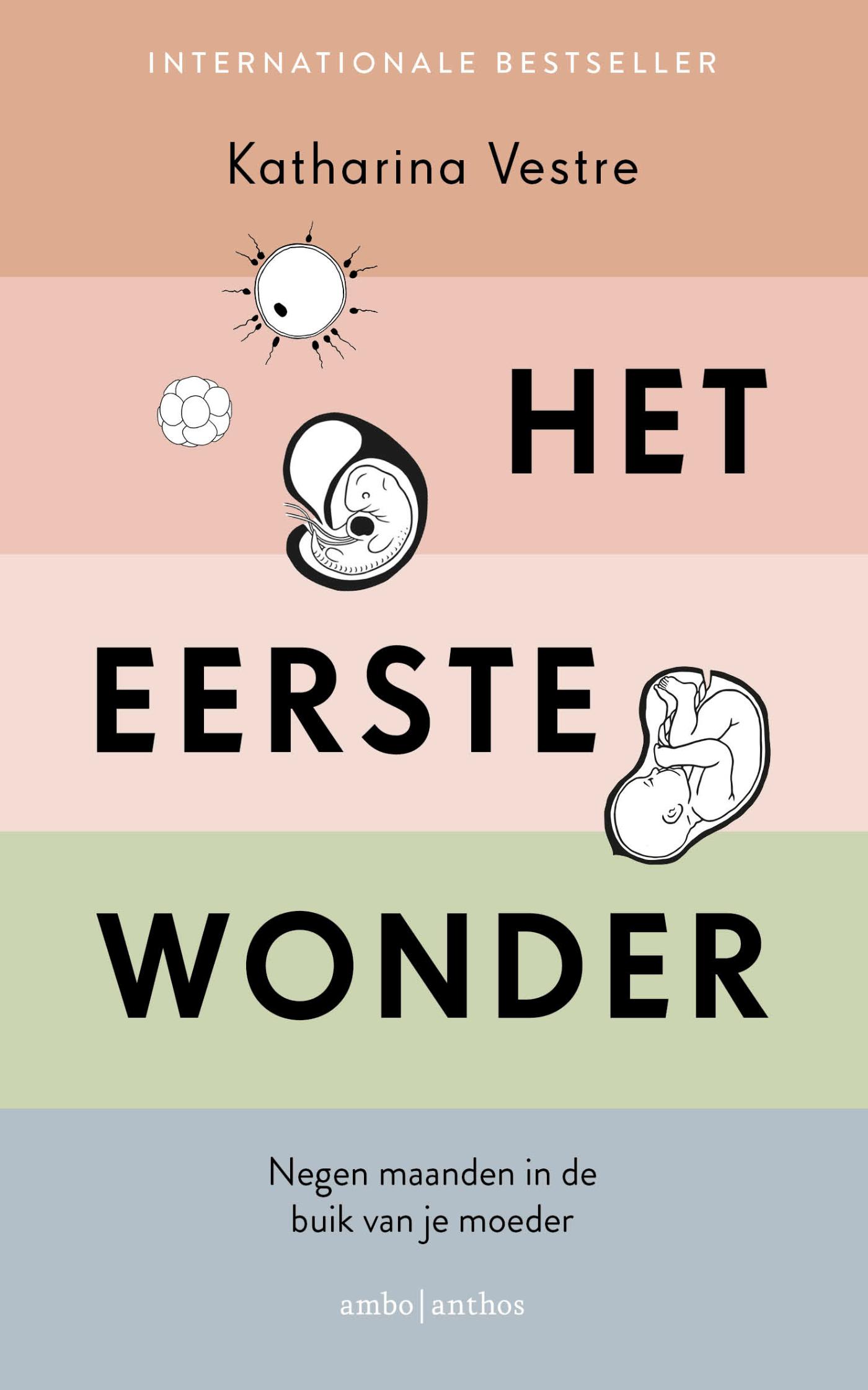 Omslag van Het eerste wonder