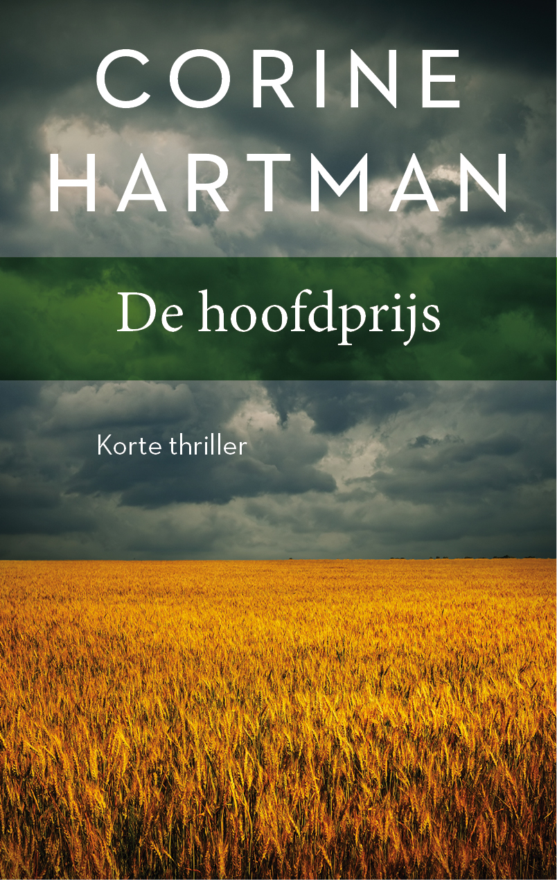 Omslag van De hoofdprijs
