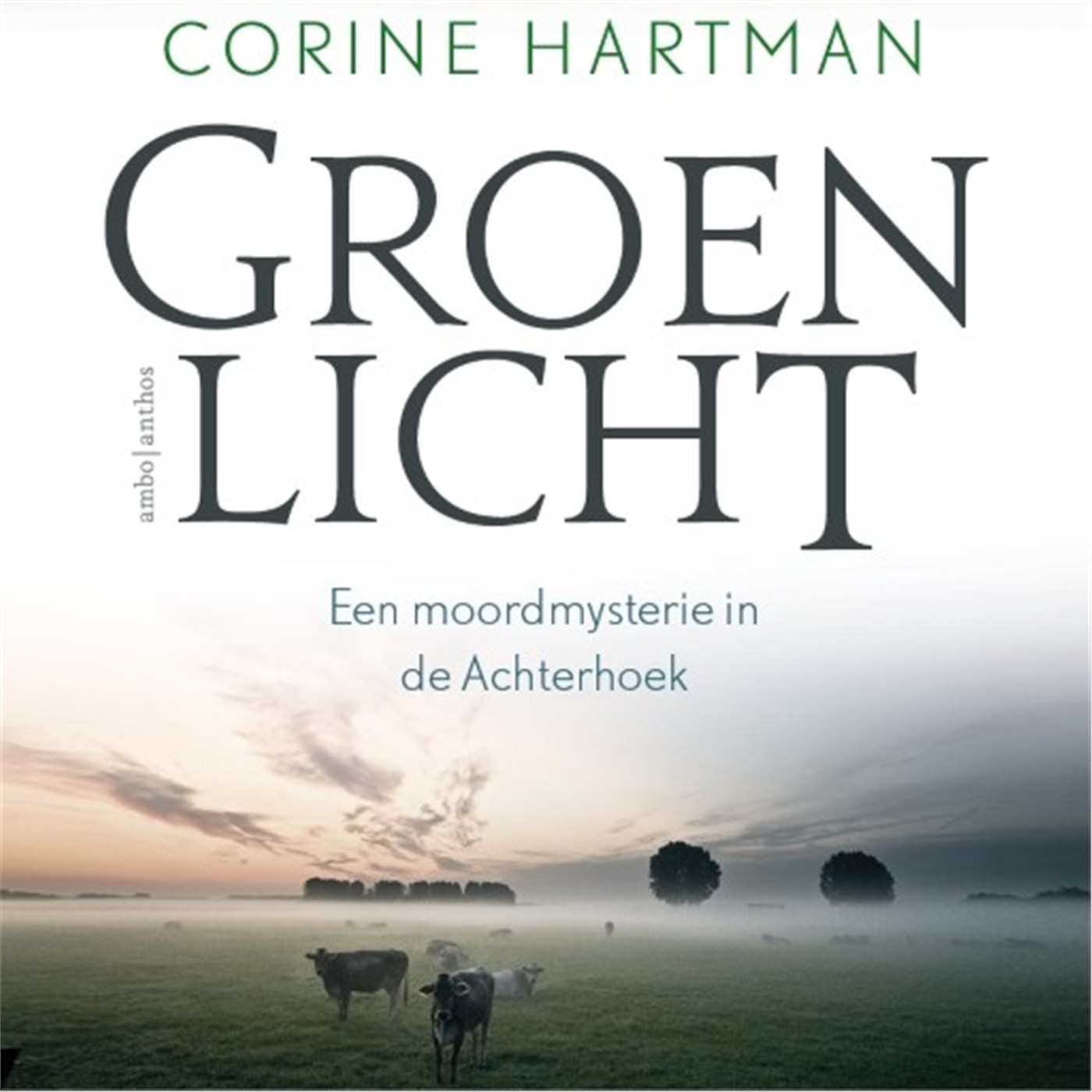 Omslag van Groen licht