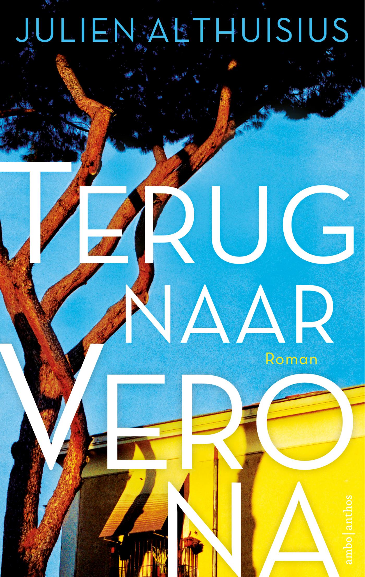 Omslag van Terug naar Verona