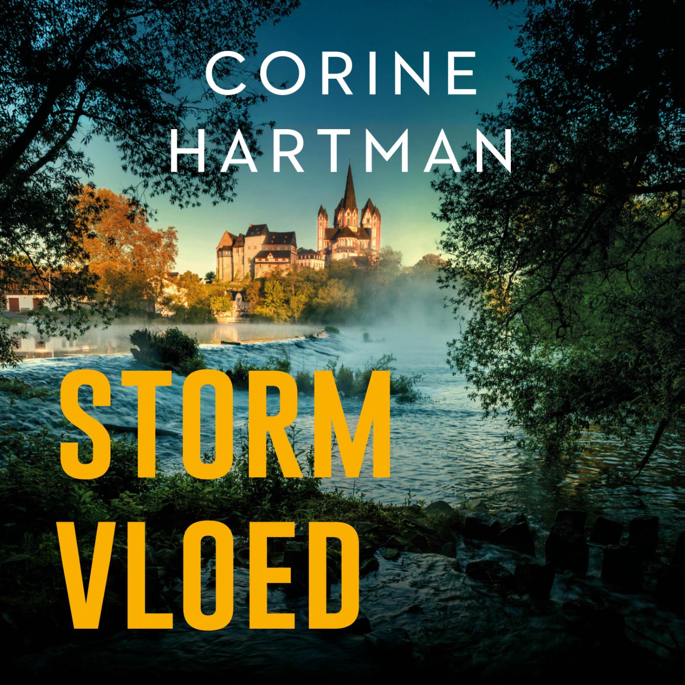 Omslag van Stormvloed